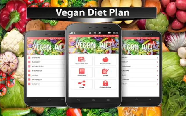 Vegan Diet Plan android App screenshot 1